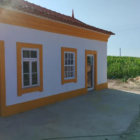 Jamcadesa 16 Minutos Proximo A